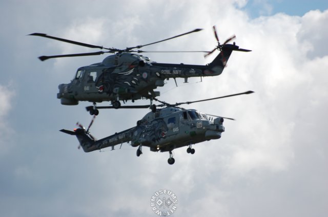 twowestlandlynx4.jpg