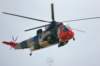 westlandseaking_small.jpg