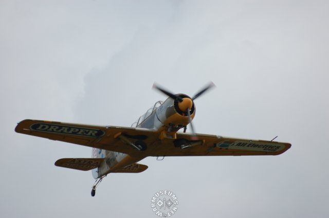 yak524.jpg