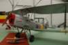 dh82atigermoth_small.jpg
