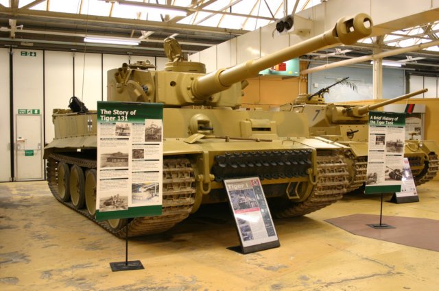 tiger.jpg