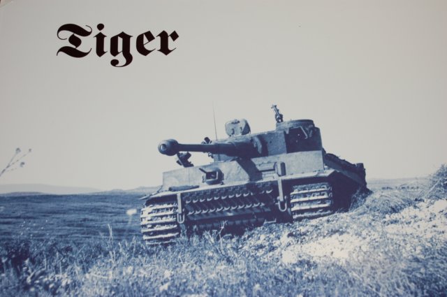 tigerpanel.jpg