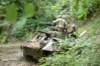m20greyhound2_small.jpg