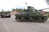 leopard1andshermanfirefly_small.jpg