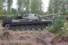 leopard1rightsideview3_small.jpg