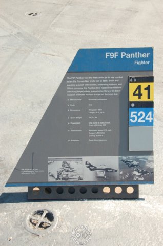 f9fpantherpanel.jpg