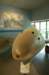 me262nose_small.jpg