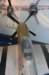 p51d_small.jpg