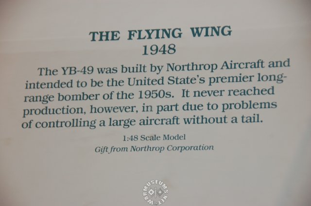 theflyingwingpanel.jpg