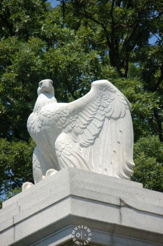 eagle.jpg