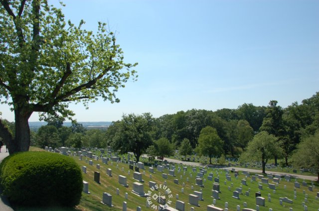 graves6.jpg