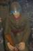 czechsoldierww2_small.jpg