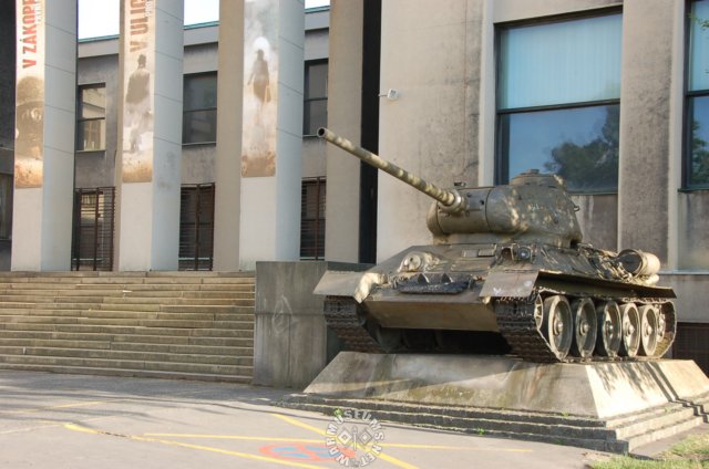 t3485.jpg