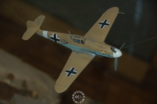 tropicalme109fscalemodel.jpg