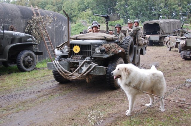 dodgewc52andmascotfilou.jpg