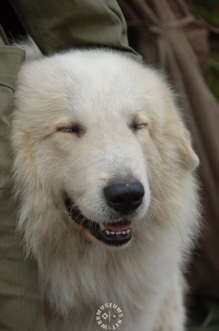 filousmiling.jpg
