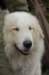 filousmiling_small.jpg