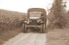 wheelstruck2_small.jpg