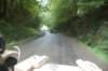 throughtheforest_small.jpg