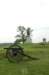 cannons_small.jpg