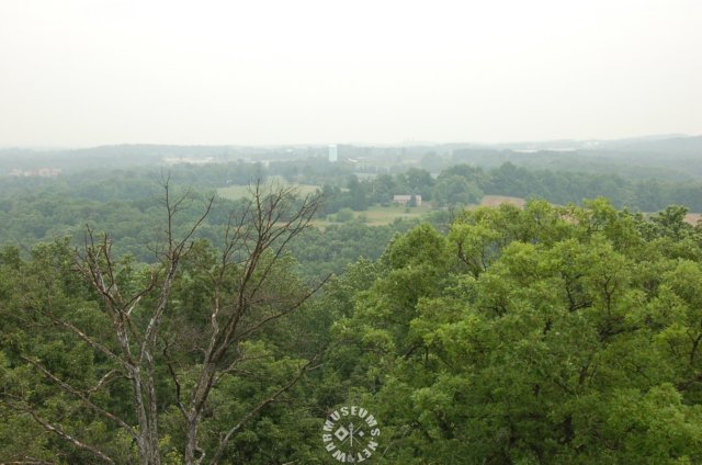 viewfromthetower.jpg