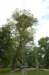 woodentower_small.jpg