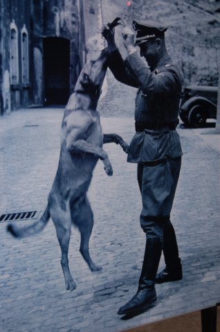 ssofficerwithdog.jpg