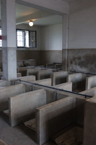 toilets.jpg