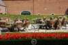 soldiersrestinginthecastlecourtyard_small.jpg