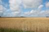 landscape_small.jpg
