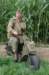 cushman4_small.jpg