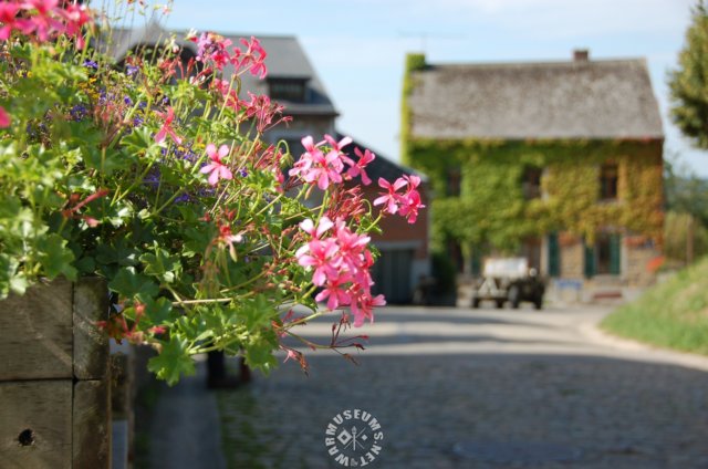 flowerwithmilitarybackground.jpg
