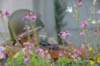ussoldieramongtheflowers_small.jpg