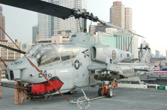 cobra3.jpg