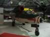 he162a2salamander_small.jpg