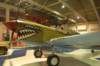 p40kittyhawkiiileftfrontview_small.jpg