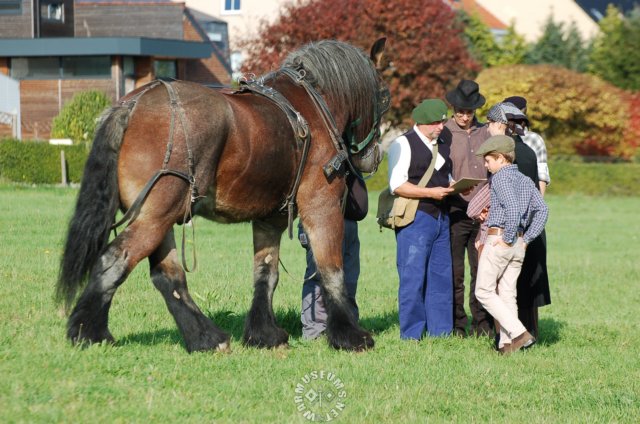 populationwithhorse.jpg