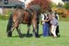 populationwithhorse_small.jpg