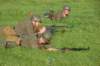 soldierwithsturmgewehrmp44_small.jpg