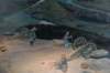 thebattleoflookoutmountainseptember1863_small.jpg