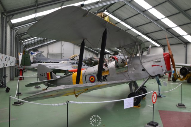 dh82atigermothleftview.jpg