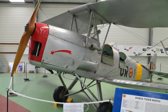 dh82atigermothtrainingversion.jpg