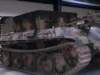bergepanther_small.jpg