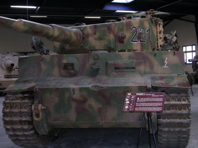 tigerifrontview2.jpg