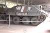jagdpanzer38thetzerusedbyczechresistance_small.jpg