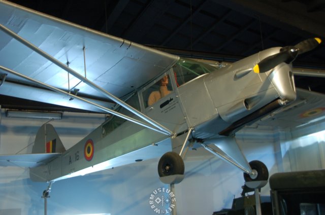 piperclubwithbelgianmarkings.jpg