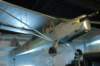 piperclubwithbelgianmarkings_small.jpg