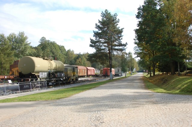 wagons.jpg