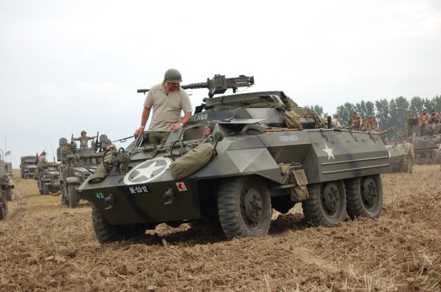 m8greyhound2.jpg