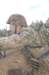 germansssoldier2_small.jpg
